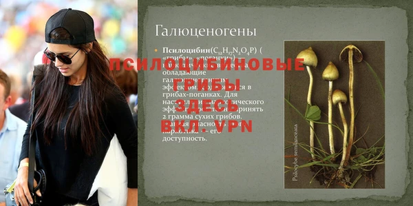 амф Алзамай