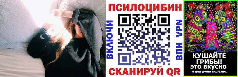 Псилоцибиновые грибы Psilocybe  Юрьевец 