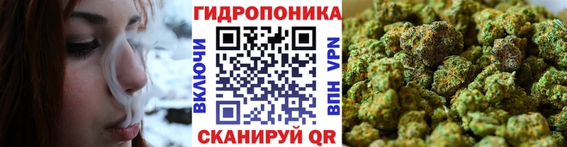Бошки Шишки индика  закладки  Юрьевец 